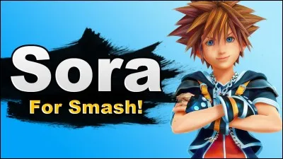 D'où le nom Sora vient-il ?