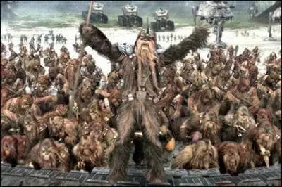 Sur quelle plante habitent ces cratures ?