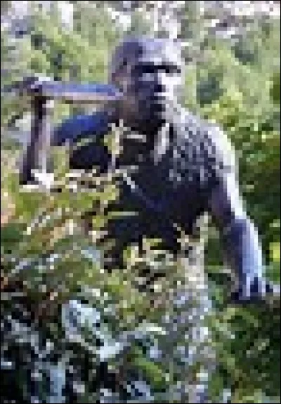 Où ont été découverts les restes de l'homme de Tautavel, qui vivait il y a 500 000 ans ? (c'était en 1971)