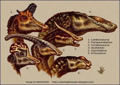 Toute sa vie, il ne cessa d'étudier les dinosaures. Il avait parfois d'étrange théories :