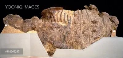 William Cutler (1878-1925) fit partie de ces paléontologues canadiens déterrant de superbes fossiles pour son pays. En 1914, il découvre le premier dinosaure cuirassé du Canada :