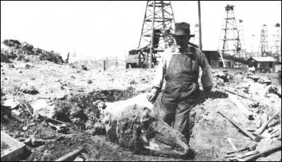 William Cutler ne fut à l'époque pas la seule personne à découvrir des fossiles de dinosaures avec des restants de peau. Charles Sternberg (1850-1943), un autre paléontologue canadien, réussi à trouver entre 1908 et 1916...