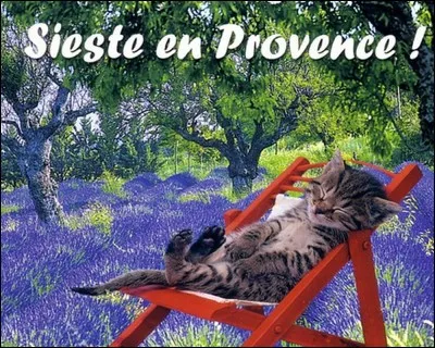 Moment sacré ! Tous, petits et grands, se plient a son rituel. Après le déjeuner, la chaleur ou la lente digestion d'un aïoli incite à fermer les volets et à faire une petite sieste que l'on nomme ici ...
