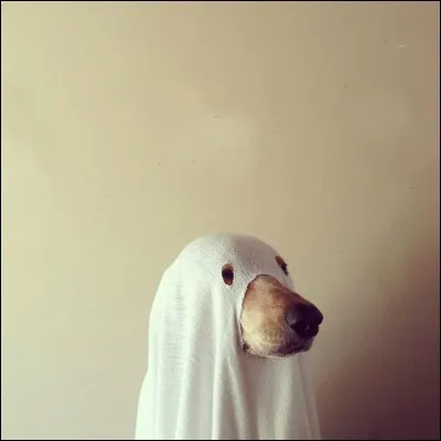 Ce monstre a la possibilit&eacute; de traverser les murs, comme Casper.