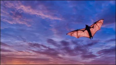 Lequel de ces monstres se transforme en chauve-souris ?