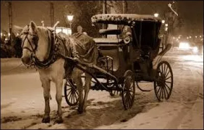 La serge du viquaire a plut à la dame du fiacre.