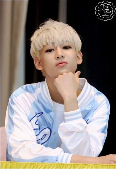 À quel groupe appartient-il ?