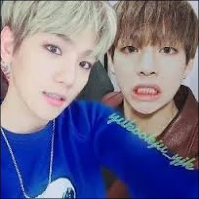 À quel(s) groupe(s) appartiennent-ils ?