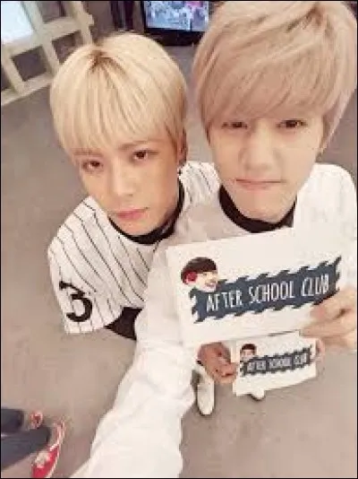 À quel(s) groupe(s) appartiennent-ils ?