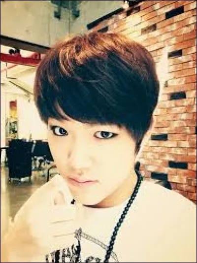 À quel groupe appartient-il ?