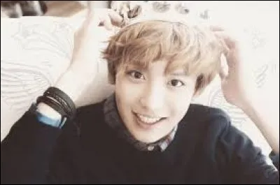 À quel groupe appartient-il ?