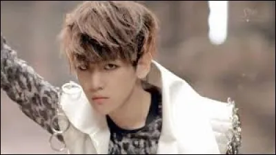 À quel groupe appartient-il ?