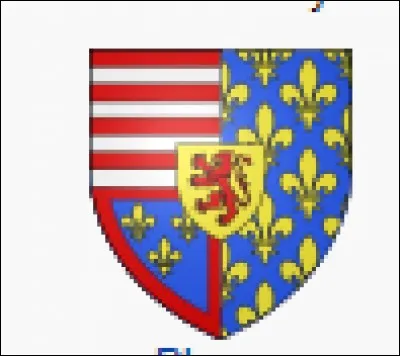 A quelle ville appartient ce blason ?