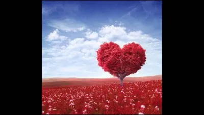 Qu'aime Raiponce parmi ces activités ?