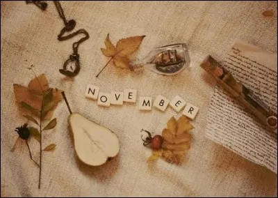 A quel auteur, célèbre pour son personnage "Maigret", doit-on le roman "Novembre", publié en 1969 ?