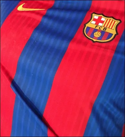 Qui est leur gardien titulaire ?