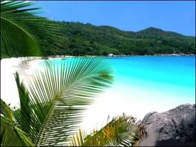 Parmi ces propositions, laquelle décrit le climat tropical ?