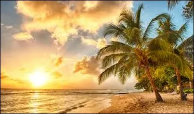 A quel chanteur doit-on "Sous les sunlights des tropiques", en 1984 ?