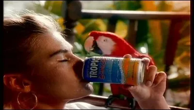 Quelle est cette boisson rafraîchissante au nectar de fruits et à l'eau de source ?