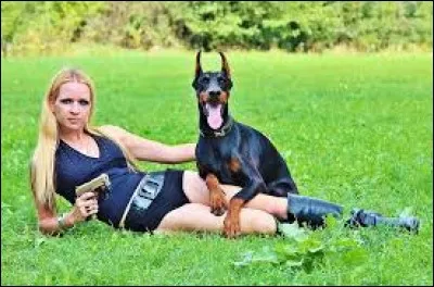 Quelle est la différence entre une femme et un doberman ?