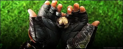 Qu'y avait-il dans le Vif d'or ?