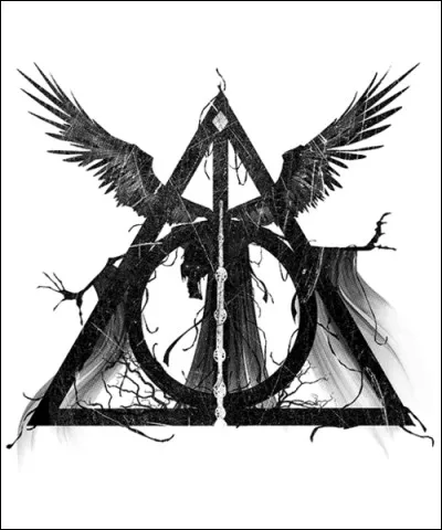 Que représente le triangle du symbole des reliques de la mort ?