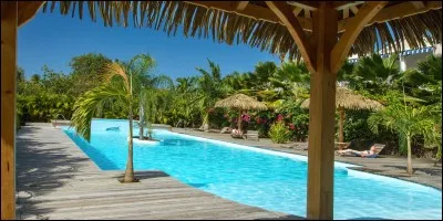 Où vont-ils pendant les vacances ?