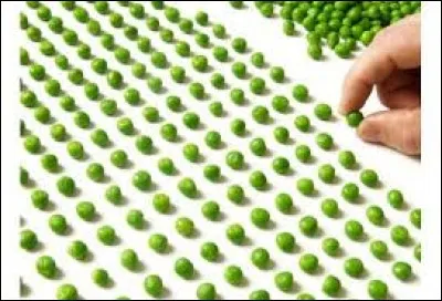 Qu'est-ce qu'un TOC ?