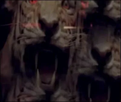 De quel clip provient cette photo ?