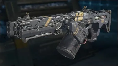 Quelle est cette arme ?