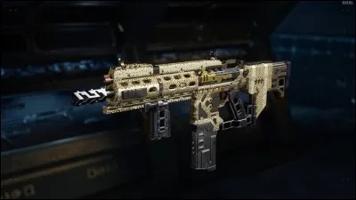 Quelle est cette arme ?