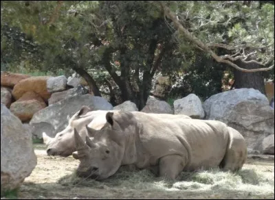 Dans quelle ville se situe le "Parc de la tête d'or" ?