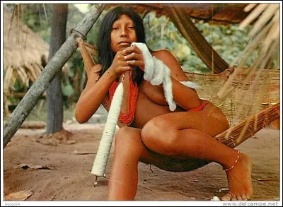 Attention au piège, les apparences peuvent être trompeuses !