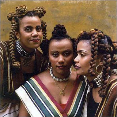 Lémuriens et baobabs vous attendent !