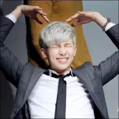 Rap Monster a-t-il une petite sur ou une grande sur ?