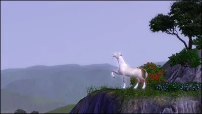 Peut-on posséder des licornes ?