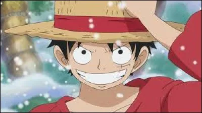 Qui est-ce ? (One Piece)