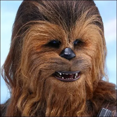 Comment Chuwbacca a-t-il pris la mort de Han Solo ?