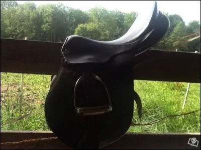 Quelle est la partie de la selle qui n'existe pas ?