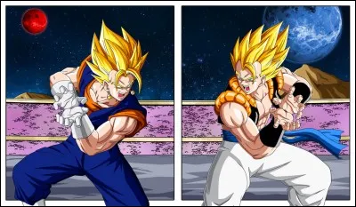 Comment s'appelle les deux fusions de Songoku et Vegeta ?