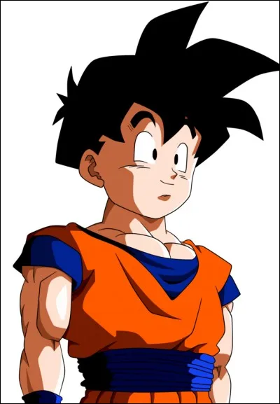 Que veut faire Gohan comme métier ?