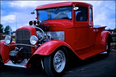 Mammifère insectivore de Madagascar, cousin du hérisson !