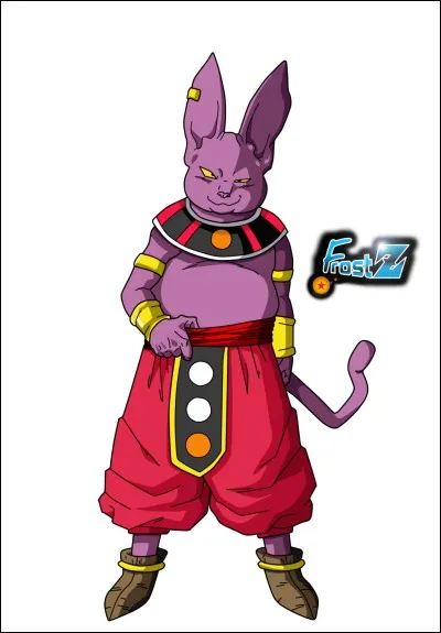 Comment s'appelle le frère de Beerus ?