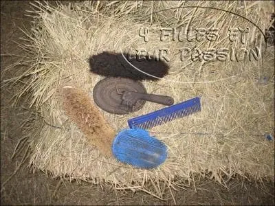 Quel est l'ordre des brosses lorsque l'on brosse un poney ?