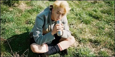 Quand il était jeune, il voulait devenir...