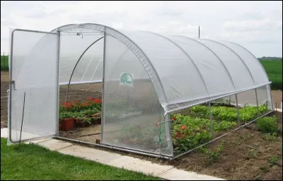 Vas chercher le rosier situé dans la ____.