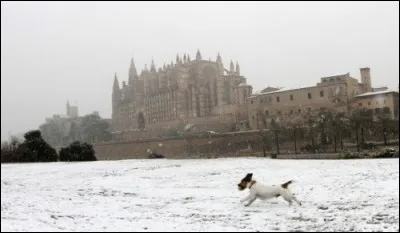 Qui a écrit "Un hiver à Majorque", loin de sa célèbre mare ?