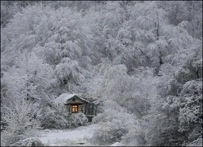 Qui chantait "Je n'aime pas l'hiver, il n'y a plus de feu, il n'y a plus rien à faire, qu'à jouer tous les deux, seuls. Attends, je sais des histoires..." ?