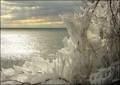 De qui sont les paroles de chanson : "L'hiver est glace, l'été est feu, ici y a jamais de saison pour être mieux" ?