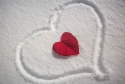 Il a dit "La haine, c'est l'hiver du coeur" dans son recueil "Les contemplations" :